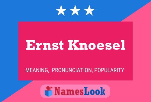 Ernst Knoesel 名字海报