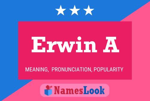 Erwin A 名字海报