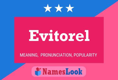 Evitorel 名字海报