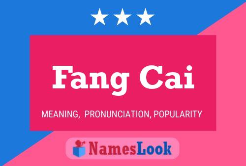 Fang Cai 名字海报