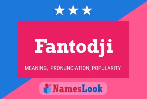 Fantodji 名字海报