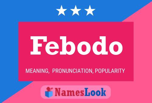 Febodo 名字海报