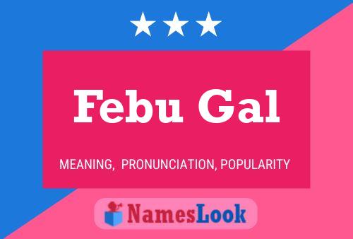 Febu Gal 名字海报