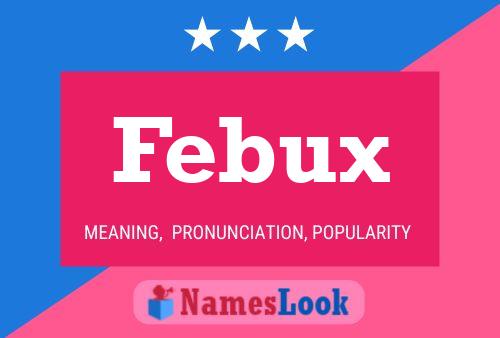 Febux 名字海报