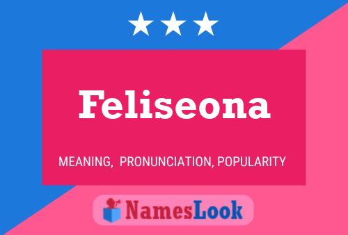 Feliseona 名字海报