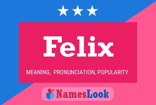 Felix 名字海报