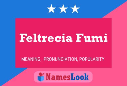 Feltrecia Fumi 名字海报