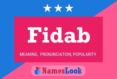 Fidab 名字海报