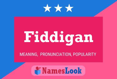 Fiddigan 名字海报