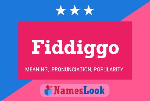 Fiddiggo 名字海报