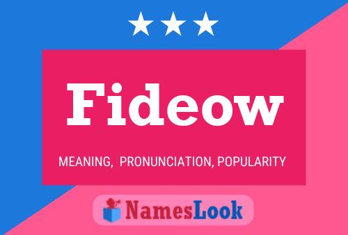 Fideow 名字海报