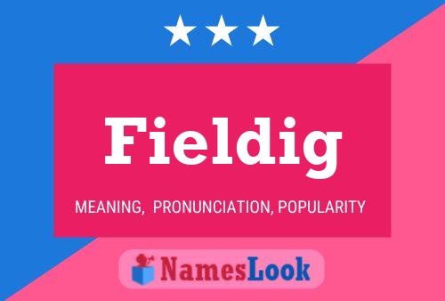 Fieldig 名字海报