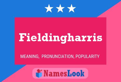 Fieldingharris 名字海报