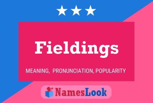 Fieldings 名字海报