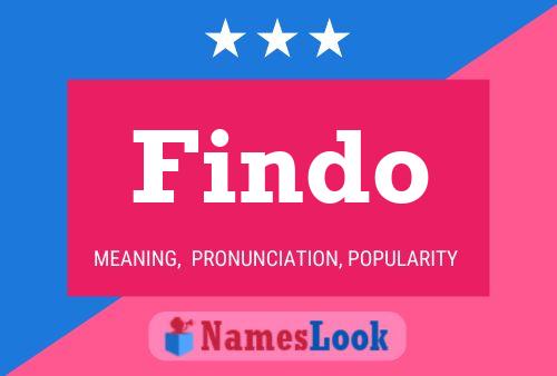 Findo 名字海报