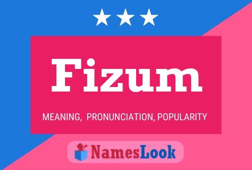 Fizum 名字海报