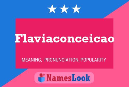 Flaviaconceicao 名字海报