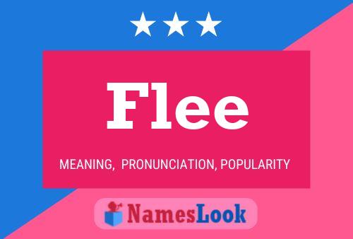 Flee 名字海报