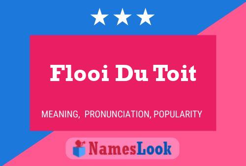 Flooi Du Toit 名字海报