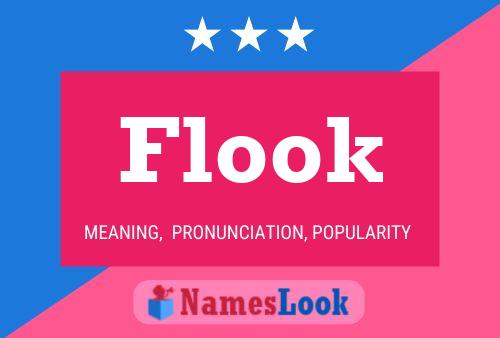 Flook 名字海报