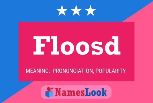 Floosd 名字海报