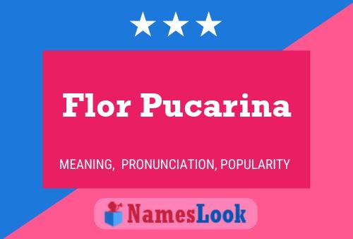 Flor Pucarina 名字海报