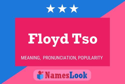 Floyd Tso 名字海报