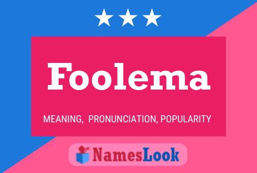 Foolema 名字海报