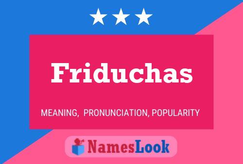 Friduchas 名字海报