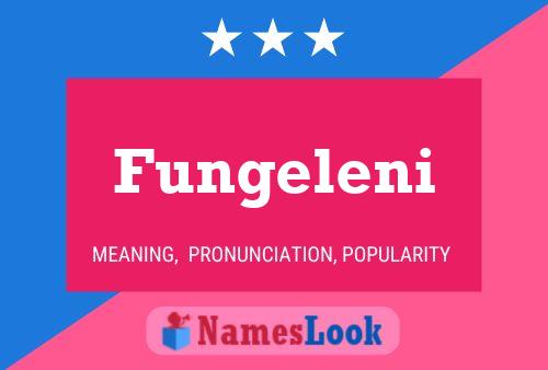 Fungeleni 名字海报