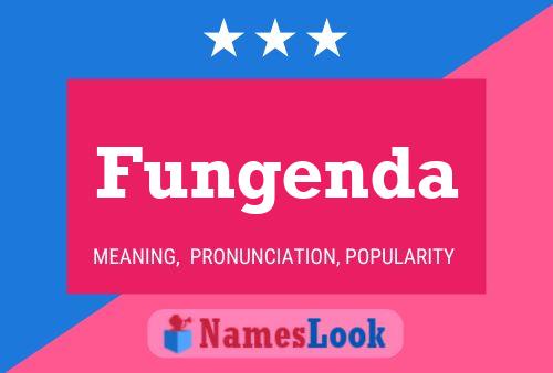 Fungenda 名字海报