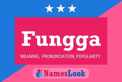 Fungga 名字海报