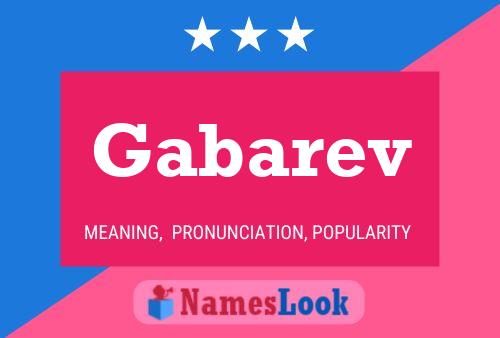 Gabarev 名字海报