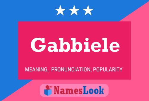 Gabbiele 名字海报