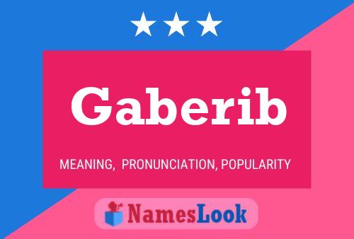 Gaberib 名字海报