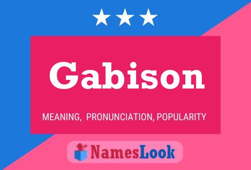 Gabison 名字海报