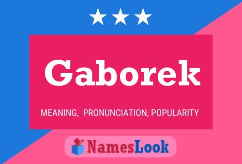 Gaborek 名字海报