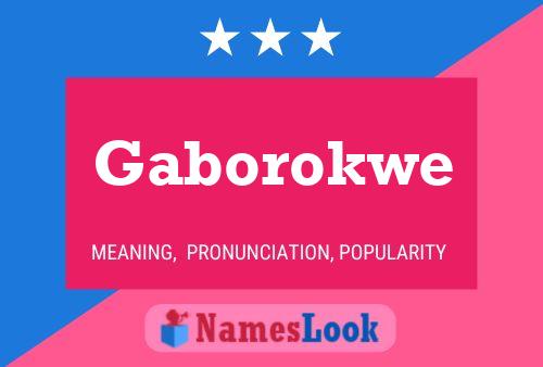 Gaborokwe 名字海报