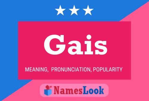 Gais 名字海报