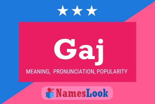 Gaj 名字海报