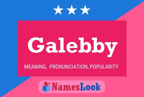 Galebby 名字海报