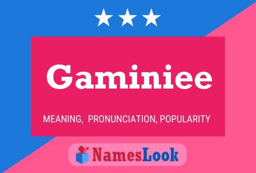 Gaminiee 名字海报