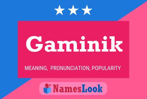 Gaminik 名字海报