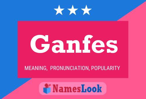 Ganfes 名字海报