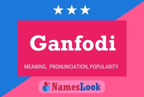 Ganfodi 名字海报