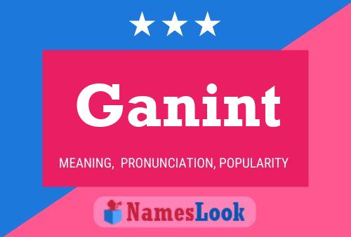 Ganint 名字海报