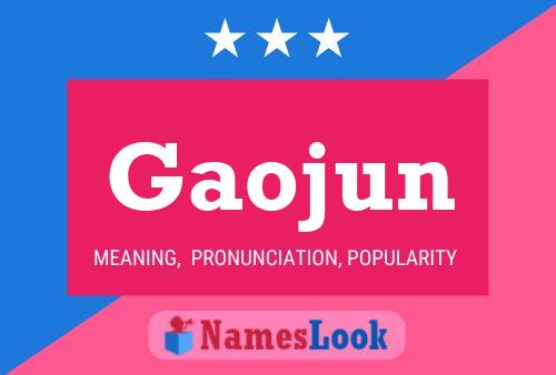 Gaojun 名字海报