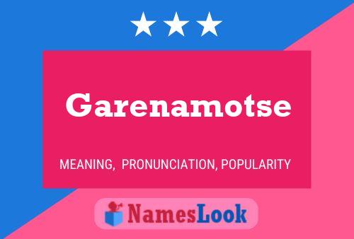 Garenamotse 名字海报