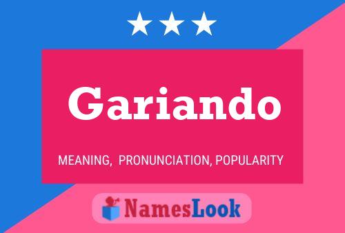 Gariando 名字海报