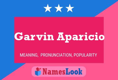 Garvin Aparicio 名字海报